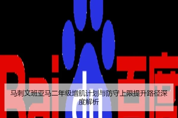 马刺文班亚马二年级增肌计划与防守上限提升路径深度解析（kaiyun）